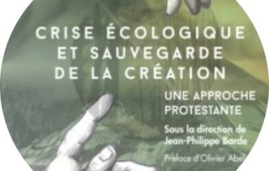 Crise écologique et sauvegarde de la création – Une approche protestante