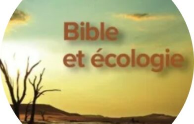 Bible et écologie – Questions croisées