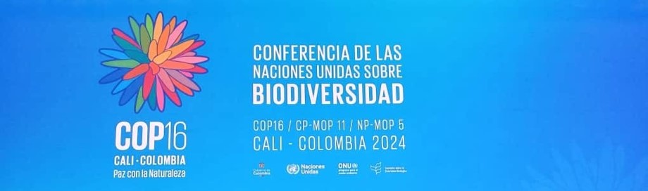 COP 16 Biodiversité Cali 2024