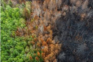 Pour la COP 29 un accord à minima