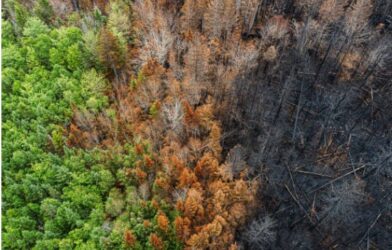 Pour la COP 29 un accord à minima