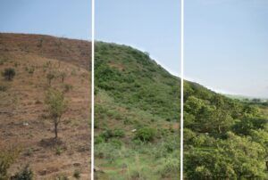 Une colline du Ghana avant et après la reforestation par la méthode RNA de Tony Rinaudo