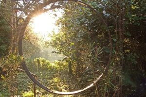 Quelle réception de la décision synodale de 2021 sur l’écologie ?