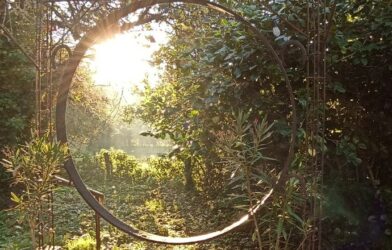Quelle réception de la décision synodale de 2021 sur l’écologie ?