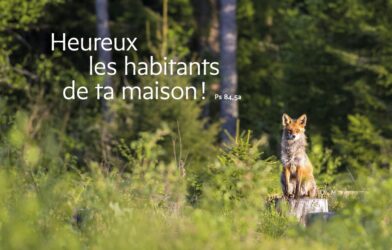 Terre en héritage, Terre en partage – L&rsquo;exposition